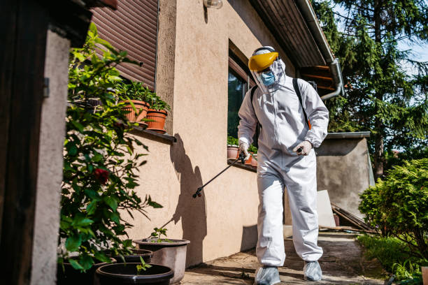 Best Flea Control Services  in Boone, NC