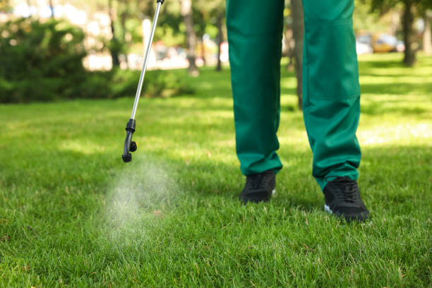 Best Flea Control Services  in Boone, NC