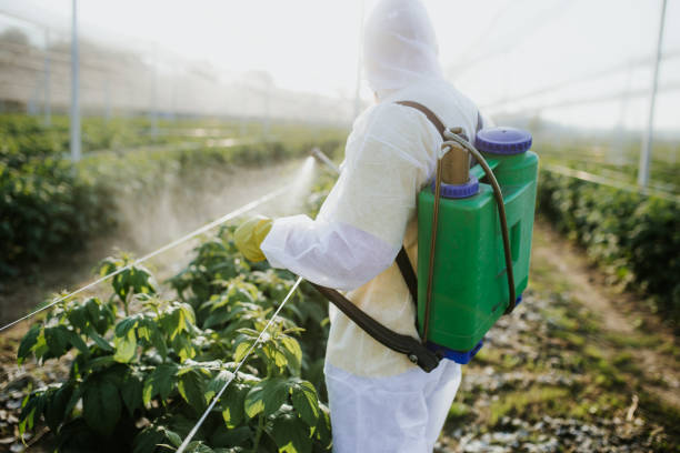 Best Bed Bug Extermination  in Boone, NC